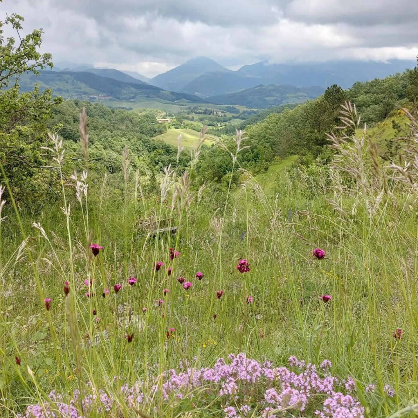 Bagno Di Bosco * Gubbio